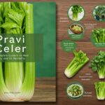 Pravi Celer: The Complete Guide to Real Celery and Its Benefits